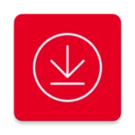 Logo of PinDownloader android Application 